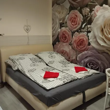 曼迪公寓 招待所 3*