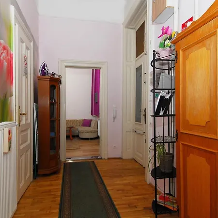 招待所 曼迪公寓