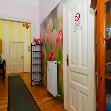 Mandy Guest house